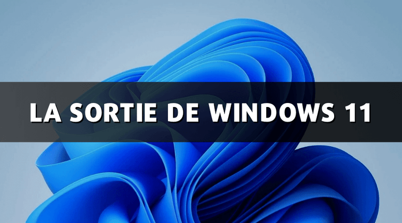 Windows 11