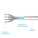 Kinpower Câble Réseau Ehternet RJ-45 F/UTP CAT6 droit Blindé Mâle Mâle 1Gbps - diymicro.fr