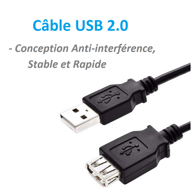 Kinpower Câble Rallonge USB 2.0 A Mâle vers A Femelle - diymicro.fr