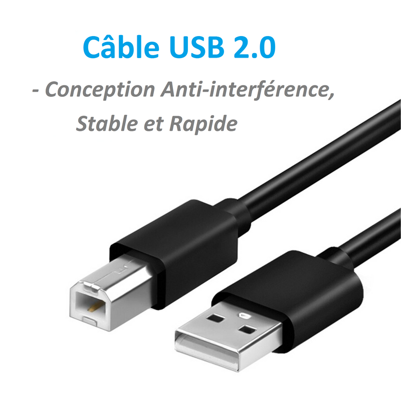 Kinpower Câble USB 2.0 A-B Mâle Mâle - diymicro.fr