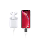 Kinpower Adaptateur Lighting mâle vers USB A 3.1 Femelle OTG - diymicro.fr